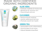 Gentle Feminine Wash for Women, pH Balanced Vulva Cleanser for Sensitive Skin, Plant Based Natural Hygiene, Unscented Vaginal Soap, Paraben and Glycerin Free (4 fl oz)