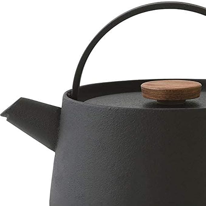 Ikenaga Ironworks New tetu Nambu Ironware Iron Kettle, Made in Japan, 3.3 gal (1 L), Induction and Gas Stoves, Iron Supplement