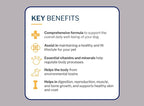 to The Rescue Dog Multivitamin Supplement - Ideal Supplement to Promote Overall Wellness for Dogs of All Breads and Ages - Assist in Maintaining a Healthy and Fit Lifestyle for Your Dog - 60 Chews