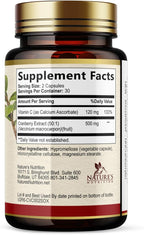 Cranberry Extract Pills Supplement - 500mg Per Serving Cranberry Extract with Vitamin C - Urinary Tract Health Support, Sugar Free Formula, Fruit Powder Extract - Bottled in USA - 60 Capsules