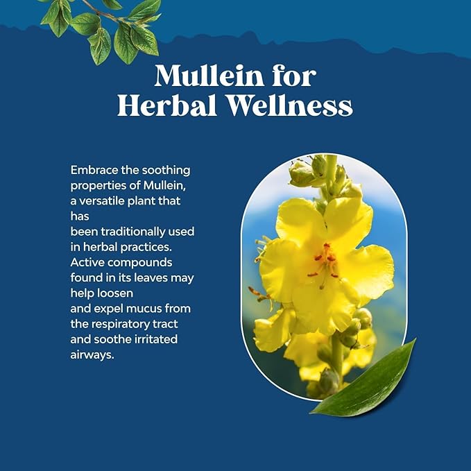 Organic Mullein Drops for Lungs - Herbal Lung Detox & Cleanse with Marshmallow Root Extract & Plantain Leaf for Respiratory Lung Health - Mullein Leaf Tincture Drops for Breathing Support - 4 Fl Oz