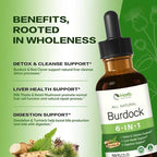 Burdock Root Extract Drops for Liver Health, 6-in-1 Herbal Supplement for Detox & Cleanse & Digestion Support Blend w/Milk Thistle Turmeric Red Clover. 2oz