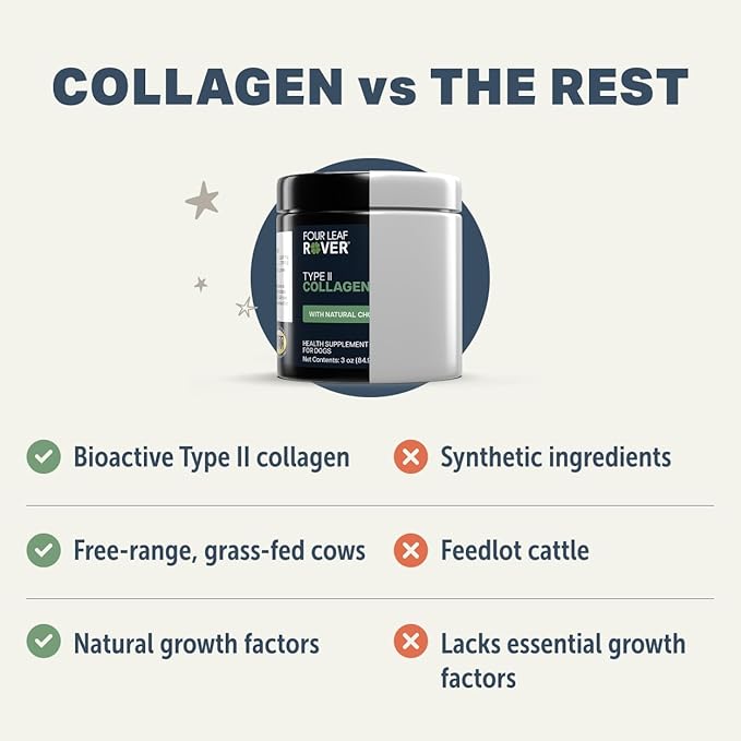 Four Leaf Rover Collagen for Dogs - Type II Grass-Finished Beef Collagen with Chondroitin Sulfate - 30 Day Large Dog Supply, Powder