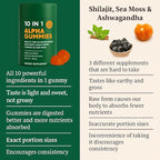 10-in-1 True Alpha Shilajit Gummies, 4000mg Himalayan Alpha Gummies for Men, Energy Boost, Immune Support, with Ashwagandha, Maca Root, Tongkat Ali, Fulvic Acid, 85+Trace Mineral, No Added Sugar, 60ct