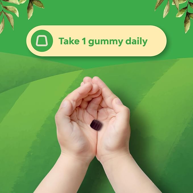Kids Elderberry Gummies with Zinc and Vitamin C - Delicious Sambucus Black Elderberry Gummies for Kids Immune Support - Daily Immunity Support Vegan Non-GMO Gluten and Gelatin Free - 30 Count