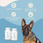 PranaPets Lignans & Melatonin Blend Naturally Aids in Relieving Symptoms of Cushing's Disease in Dogs | Helps Promote Healthy Adrenal Balance & Overall Well-Being | 1 MG Melatonin, 10 MG Lignans