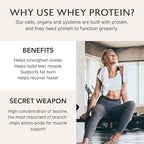 Alaya Naturals - Grass Fed Whey Protein Powder - Vanilla Flavor, All Natural, Hormone Free - 20g Protein per Serving - Non-GMO, rBGH Free, Gluten Free - Great Source of BCAA