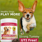 Amazing Cranberry for Dogs Pet Antioxidant, Urinary Tract Support Prevents and Eliminates UTI in Dogs, 90 Bacon Soft Chews