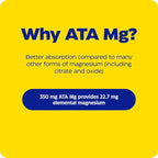 Enzymedica, Magnesium Mind with ATA Mg, 24% Faster Absorption, High-Bioavailability Magnesium for Sleep, Stress & Cognition, 60 Count