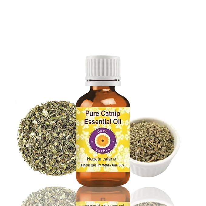 Deve Herbes Pure Catnip Essential Oil (Nepeta cataria) Steam Distilled 30ml (1 oz)
