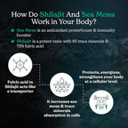 Better Alt Shilajit Sea Moss Capsules Pack of 2 with Ashwagandha & Black Pepper Extract with 85+ Essential Minerals & Antioxidants| Boosts Energy & Metabolism - 120 Servings, 240 Capsules