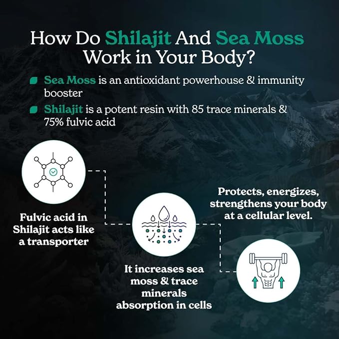 Better Alt Shilajit Sea Moss Capsules Pack of 2 with Ashwagandha & Black Pepper Extract with 85+ Essential Minerals & Antioxidants| Boosts Energy & Metabolism - 120 Servings, 240 Capsules