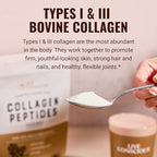 Live Conscious Collagen Peptides Powder - Hazelnut Collagen Powder - Hair, Skin, Nail, & Joint Support - Type I & III Grass-Fed Collagen Supplements for Women and Men - 30 Servings (2-Pack) - 12.4oz