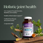 New Chapter Zyflamend™ Joint Supplement & Herbal Pain Relief – 10-in-1 Superfood Blend with Turmeric, Ginger & Green Tea - for Healthy Inflammation Response, Mobility & Flexibility, 120 Capsules