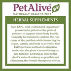 PetAlive Cushex Drops-S, Adrenal Gland Balance Herbal Pet Supplement, 2fl oz., 59ML