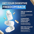 Digestive Enzymes with Probiotics – Broad Spectrum Enzyme Formula for Digestive Support, Bloating & Gas Relief, Lactase, Protease, Lipase – 60 Capsules