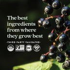 New Chapter Elderberry Gummies for Kids 2+, USDA Organic,64x Concentrated Pure Elderberry for Immune Support,Great Tasting Whole-Food Gummies, Vegan & Non-GMO, 30 ct