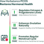 OZIVA Plant Based HerBalance for PCOS | PCOS Supplement for Women for Hormonal Balance & Better Menstrual Cycle | PCOS Drink with Inositol, Shatavari,Chasteberry, Ashoka Certified Clean & Vegan, 250g