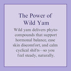 At Last Naturals Wild Yam Cream Hormone Balance for Women Menopause PMS Relief with Vitamin E Helps Smooth Dry Skin Reduce Hot Flashes and Promotes Well Being (1 Pack of 3 units)