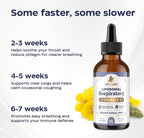 11-in-1 Liposomal Respiratory Relief Drops - Mullein Drops for Lungs with Elderberry, Licorice Root - Support Lung Cleanse and Mucus Relief - Suitable for Kids and Adults (2 Pack)