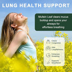 Mullein Gummies for Lung Detox 1000mg Mullein Leaf Herb Extract for Respiratory & Digestive & Immune Support, Vegan, Pear Flavor 60/120 (1)
