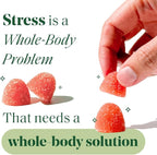 Semaine Stress Less Gummy with Cortisol Care™ 60 Count – Daily Support for Stress, Mood & Sleep