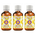dève herbes Pure Golden Jojoba Oil (Simmondsia chinensis) Cold Pressed (Pack of Three) 100ml X 3 (10 oz)
