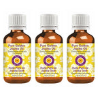 dève herbes Pure Golden Jojoba Oil (Simmondsia chinensis) Cold Pressed (Pack of Three) 100ml X 3 (10 oz)