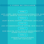 Multi Collagen Pills Plus + 180 Capsules (Types I, II, III, V & X) + Absorption Enhancer (3 Months Supply) - Non-GMO, Collagen Supplements to Support Hair, Skin, Nails, Joints, & Gut Health