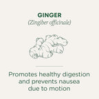 Traditional Medicinals Organic Ginger Herbal Tea, 16 Tea Bags (Pack of 1)