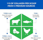 BioTrust Ageless Multi Collagen Peptides Powder – 5 Types (I, II, III, V, X) – Unflavored Collagen Powder for Women & Men – Hydrolyzed Protein – Grass Fed Beef, Fish, Chicken, Eggshell Membrane