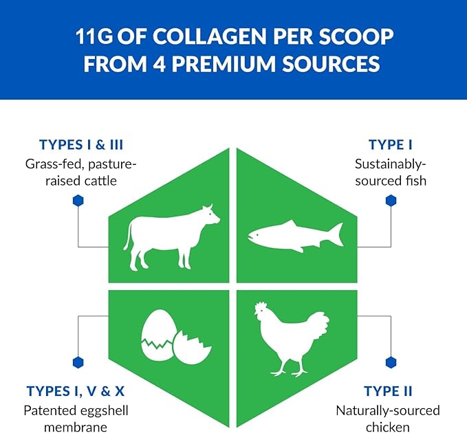 BioTrust Multi Collagen Protein Powder + Keto MCT Oil – 5 Types (I, II, III, V, X) & 100% Caprylic Acid C8 - Support Elevated Ketones, Metabolism, Joints & Beauty All in 1 Collagen Powder (Unflavored)