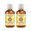 Deve Herbes Pure Organic Prickly Pear Seed Oil (Opuntia ficus-Indica) Cold Pressed (Pack of Two) 100ml X 2 (6.76 oz)