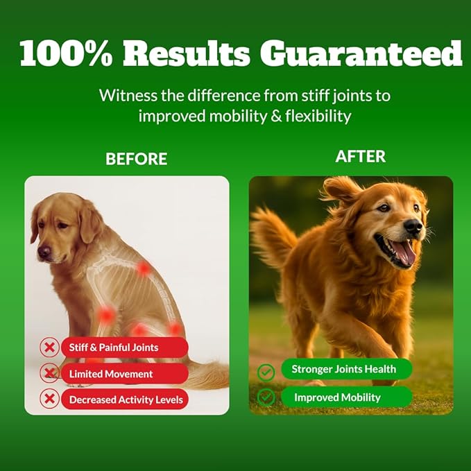 Dog Joint Supplement Chews with Glucosamine & MSM & Omega 3–Joint Support for Senior & Large Breed Dogs, Alternative for Longevity & Healthy Aging, Mobility Treatment & Flexibility with CoQ10-120 Ct