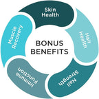 Purity Products JointGel Formula Collagen Peptides + MSM - Supports Joint Flexibility + Fortify Joint Cartilage - Berry Powder - 30 Day Supply
