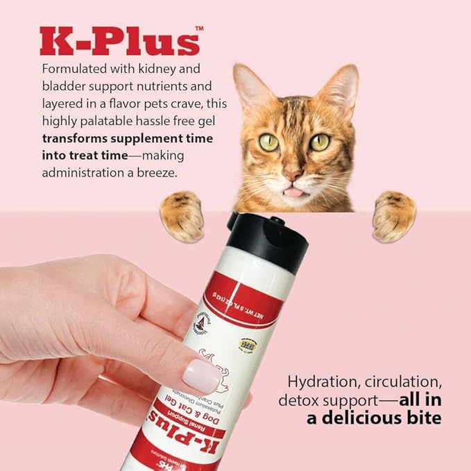 K-Plus Potassium Gluconate Renal Gel Plus Cranberry and EPA for Dogs and Cats - Veterinarian Approved Renal Supplement - Supports Potassium Balance - (6 Pack, Gel)