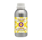 dève herbes Pure Dill Seed Essential Oil (Anethum graveolens) Steam Distilled 1250ml (42 oz)