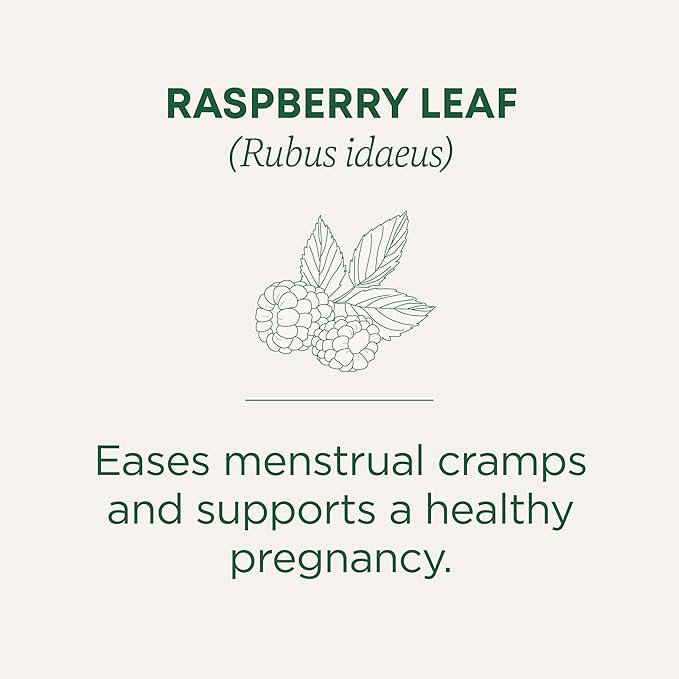 Traditional Medicinals Organic Raspberry Leaf Herbal Tea, Eases Menstrual Cramps & Supports Healthy Pregnancy - 48 Tea Bags