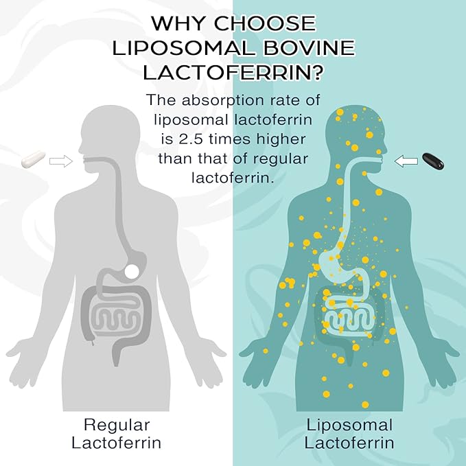 Liposomal Bovine Lactoferrin 1000 mg - Higher Absorption - for Iron Absorption & Immune Function Lactoferrin Supplements for Adults, 60 Softgels