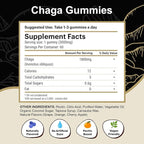 Chaga Mushroom Gummies — Antioxidant Immune Support Supplement - Dietary Mushroom Supplement - 60 Gummies - Made in USA - Shrooms for Health - Organic Vegan Frendly