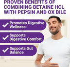 Digestive Enzymes with Ox Bile and Betaine HCl (100 Caps) Ox Bile Supplements for No Gallbladder with Papain & Pepsin A | Pancrease Cleanse & Detox - Pancreatin Digestion Enzymes for Women & Men