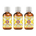Deve Herbes Pure Organic Prickly Pear Seed Oil (Opuntia ficus-Indica) Cold Pressed (Pack of three)100ml X 3 (10 oz)