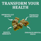 Greens Gummies, Daily Greens Gummies with Organic Chlorella and Spirulina, Digestive & Gut Health, Low Sugar, Formulated with 60+ Ingredients, Individual Packets,160 Gummy Bear