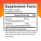 Seeking Health Energy Nutrients - Nutritional Supplement for Energy Support† - Supports Memory, ATP Production & Vitality† with Glutathione and ATP - 30 Lozenges