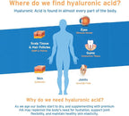 Hyalogic Synthovial Seven Hyaluronic Acid Liquid - HA Support - Vegan - 1 oz