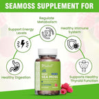 Safrel Irish Sea Moss Gummies 3000mg with Bladderwrack and Burdock Root, Thyroid Energy and Immune Support, Vegan Raspberry Flavor, 60 Gummies