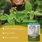 Organic Red Raspberry Leaf Tea – Wild Raspberry Tea for for Pregnancy, Healthy Cycle, Menstrual Cramps – 6oz