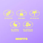 Misfits Vegan Protein Bars - Sweet Caramel Fudge | Nutrition Bars - 15g Protein, 1g Sugar, Plant-based, Low Carb, Non-GMO, Gluten Free Snacks | Pack of 12