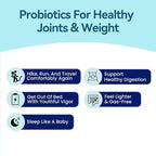 Probiotics for Women Digestive Health, Turmeric Curcumin Moringa, Menopause, Joint Support Sexy Midsection Curves, Bloat, 60 Capsules