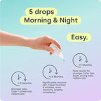 Biosil Collagen Booster Supplement - 0.5 fl oz Drops, Pack of 2 - Patented ch-OSA Activator for Skin, Hair, Nails & Joints - Supports Natural Production - 60-Day Supply